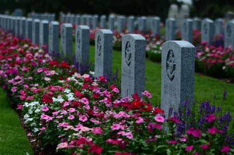 Mortician assistant requirements.  Jun 28, 2024 · Program Information The Funeral Service Assi...