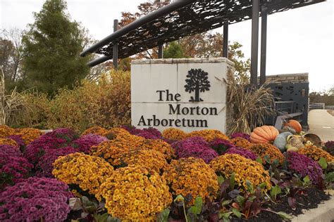 Morton arboretum events. Overview. View Maps. East Side of Arboretum, Parking Lot 1. Open daily, 9:30 a.m. to sunset, hours may change for weather or safety reasons. Inquire about weather closure. Email: trees@mortonarb.org. Call: 630-968-0074. Print this page. 