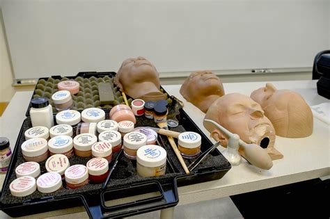 Mortuary science programs ontario. .  ...