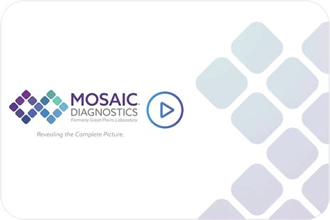 Mosaic Diagnostics Simplified, Scientific Laboratory Testing