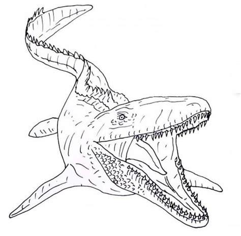 Picture Frame Coloring Page