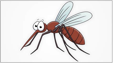 Mosquito Cartoon Drawing