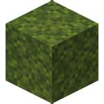 Moss Block in Minecraft