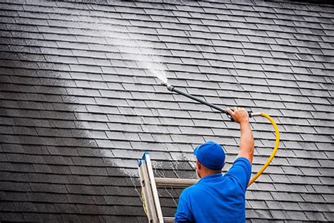 Moss Removal and Roof Cleaning in Cromer G.B Cleaning Services