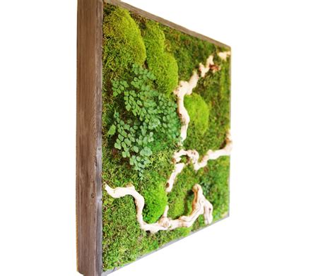 Moss wall art. Real preserved moss,No Maintenance Required Eco natural green wall art ; This is a 19.7"x13.8" moss wall art featuring moss,100% Real preserved moss in a black frame.High-quanlity PS Polymer Frame.Item Weight：about 3.5lb ; With hooks and accessories, ready to hang,easy to hang 