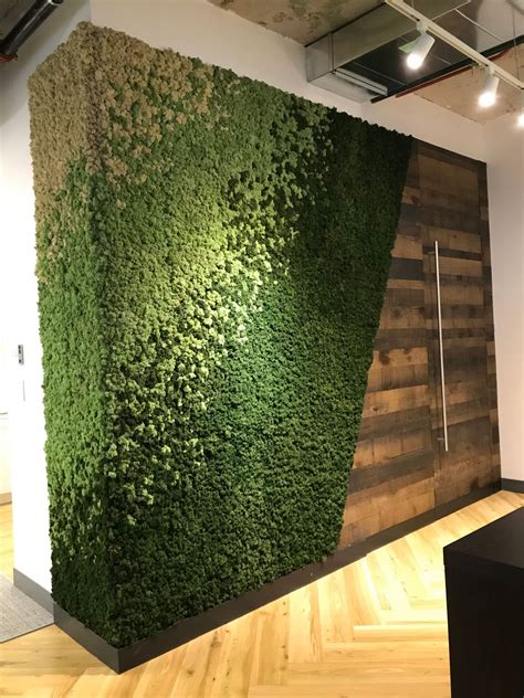 Moss wall panels. Preserved moss walls are a perfect zero-maintenance way to bring nature into your home or office. These green installations, crafted from real, live moss that undergoes a meticulous preservation process, bring the … 