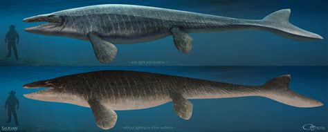 Nov 1, 2021 · The mosasaur uncovered in North Dakota was a larg