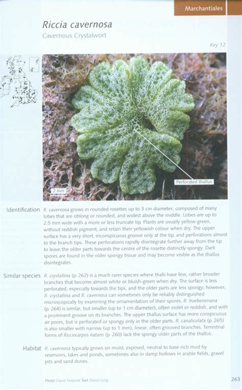 Mosses and liverworts of britain and ireland a field guide. - Antologia poética de antero de quental.