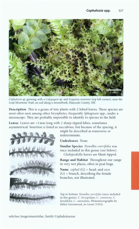Mosses liverworts and hornworts a field guide to common bryophytes of the northeast. - Obsługa pieców wapiennych i lasowników wapna..