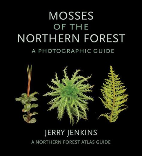 Read Online Mosses Of The Northern Forest A Photographic Guide By Jerry Jenkins