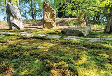 Mossin’ Annie: How Does Moss Grow? – Mother Earth News