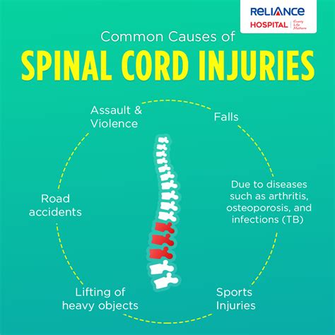 Most Common Spinal Cord Injuries: Types and Causes