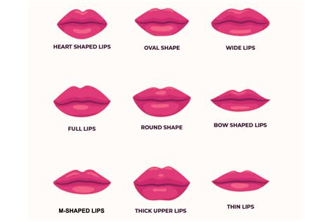 Most attractive lip shape female reddit.  These include full lips, heart s...