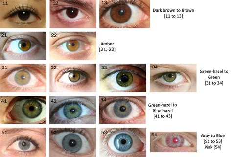 Also, grey, violet, and purple eyes from 