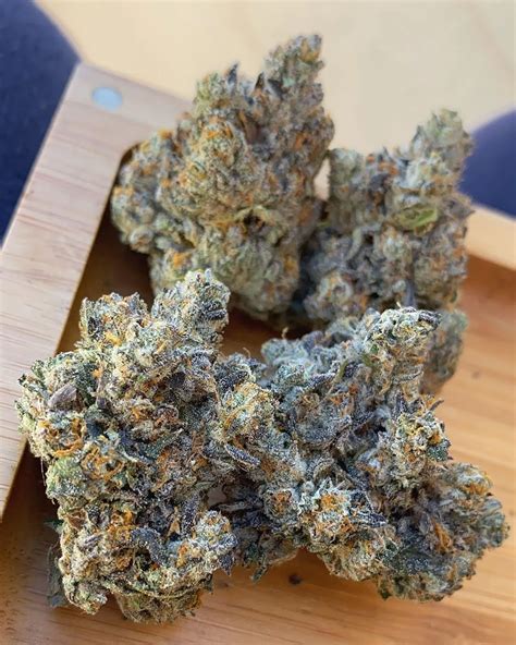 Girl Scout Cookies Feminized: This strain is 40% indica and 60%