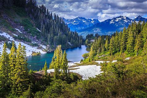 Most visited national parks in the us. By the time Great Smoky Mountains National Park, the most visited park in the United States, was established it was almost too late to save it. It was 1934; about 80 percent of the forest in the ... 