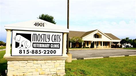 Mostly Cats Veterinary - 43 visitors - Foursquare