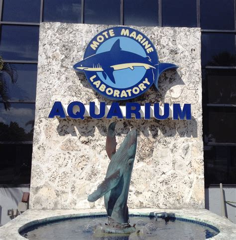 Mote aquarium sarasota. sea for yourself 🐟 enjoy this first virtual tour of the spectacular new Mote SEA, Mote Marine Laboratory & Aquarium's three-level science education aquarium coming to Nathan … 