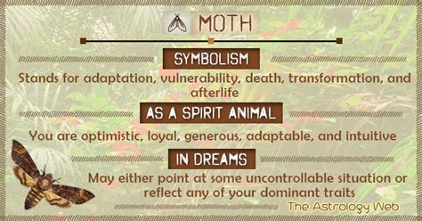 Moth Meaning and Symbolism The Astrology Web