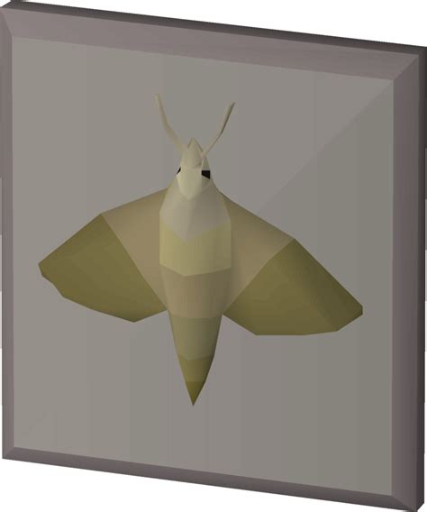 The snowy knight is a butterfly that players can capture wit