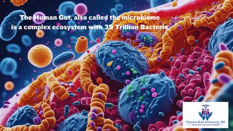 Mother's Microbiome: How It Shapes the Health of Future Generations