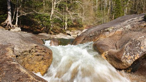 Mother drowns trying to save son at NH waterfall and father rescues another son trapped by boulders