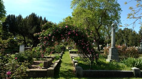 Mothers Day Rose Tour Old City Cemetery Museums and …