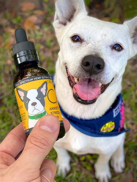 Mothers Market Cbd Oil For Dogs