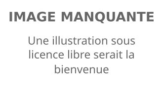 Motiur Rahman Nizami - Wikipedia