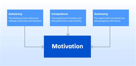 Motivation theory