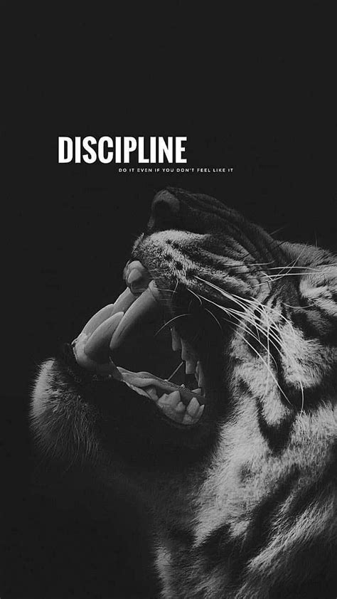 Motivational Quote, gym, discipline HD phone wallpaper Pxfuel