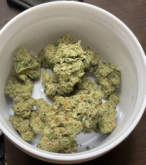 Motorhead, also known as Motor Head,, is a hybrid weed strain. Reviewers on Leafly say this strain makes them feel happy, sleepy, and euphoric. Motorhead has 27% THC and 1% CBG. The dominant ... . 