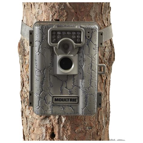 Moultrie com game cameras. Though there are smaller cameras on the market, the Moultrie Panoramic 150 is reasonably sized. The dimensions of the camera are 7.5″ x 9.5″ x 5″ and it weighs just over 2 pounds. It fits easily into a standard backpack with plenty of room to spare. I was also impressed by the camera’s very fast trigger speed. 