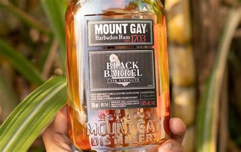 Mount Gay &mdash; The Spirits Educator