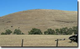 Mount Greenock VRO Agriculture Victoria