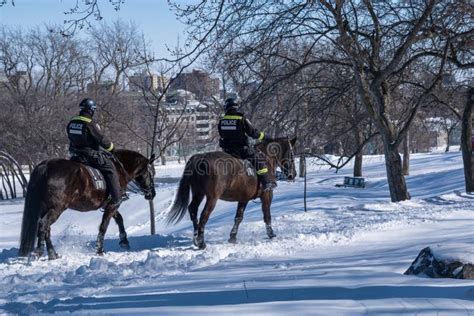 Mount Royal Police