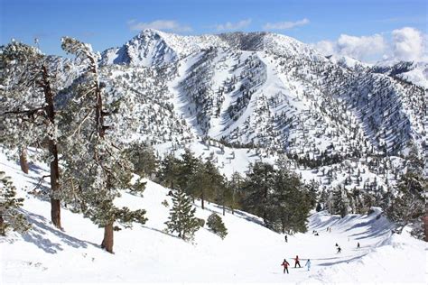 Mount baldy ski area. Skiing Mt. Baldy. The ski resort Mt. Baldy is located in California ( USA ). For skiing and snowboarding, there are 20 km of slopes available. 4 lifts transport the guests. The winter sports area is situated between the elevations of 1,977 and 2,620 m. Evaluation. 
