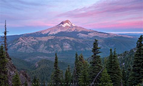 Mount hood national forest. Things To Know About Mount hood national forest. 