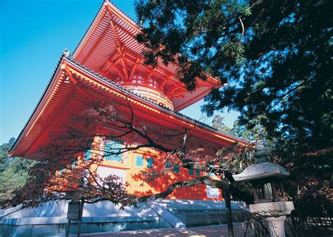 The place was thought to represent a Lotus, an important Buddhist symbol. This place is now known as Mt. Koya, or Koyasan, and it is a small temple town of 4,500 inhabitants in the still seemingly remote …. 