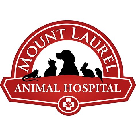 Mount Laurel Animal Hospital. Mount Laurel, NJ 08054. Estimated $59.1K - $74.9K a year. Full-time. Holidays +1. Easily apply: Works collaboratively with other CSR department supervisors and hospital leaders to deliver white glove customer service.. 