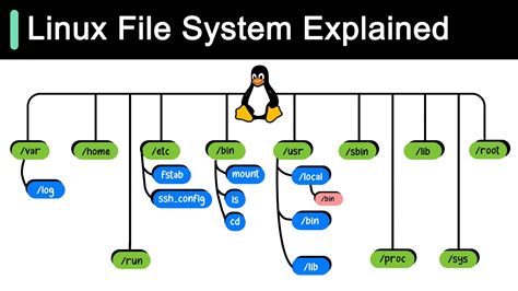 Mount osx filesystem linux.  These components are crucial for ensuring that data is organiz...