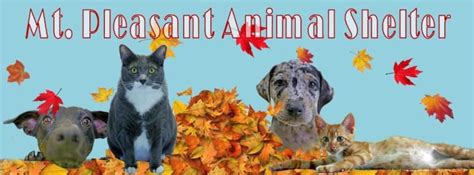 Mount pleasant animal shelter east hanover new jersey. Reviews from Mt. Pleasant Animal Shelter employees about Mt. Pleasant Animal Shelter culture, salaries, benefits, work-life balance, management, job security, and more. 