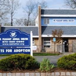 Mount pleasant animal shelter in east hanover nj. Things To Know About Mount pleasant animal shelter in east hanover nj. 