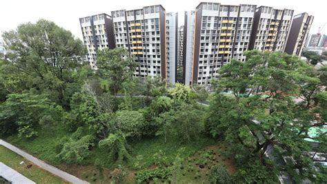 Mount vernon bidadari.  Targeted to be completed in 2025, the Complex will be redeveloped...