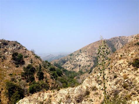 Mountain Bike Trail near Sunset Ridge, Pasadena, California ...