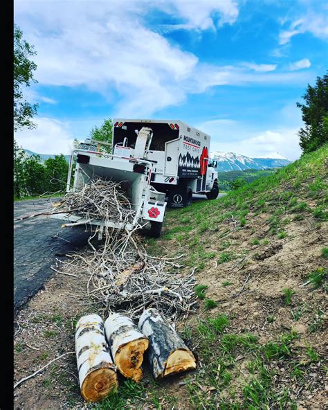 Mountain Dog Tree Care - Eagle County Tree Service