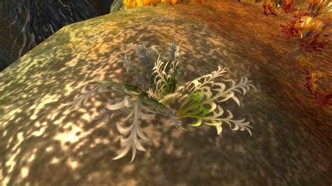 Mountain Silversage - Item - WotLK Classic - Wowhead