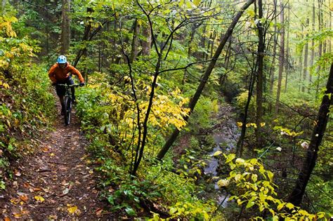 Mountain bike guide hants and new forest. - Manuel de réparation alfa romeo gtv.