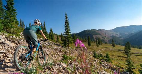 Mountain biking the roaring fork valley a guidebook for mountain bikers featuring maps. - Juvenile delinquency theory practice and law.