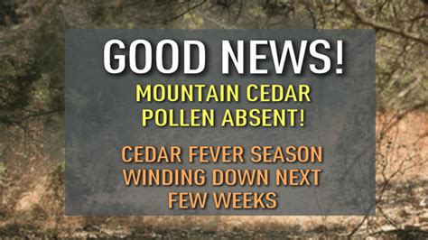 Mountain cedar count today fort worth. Dallas news, headlines, weather, sports and traffic from KDFW FOX 4 News, serving Dallas-Fort Worth, North Texas and the state of Texas. 